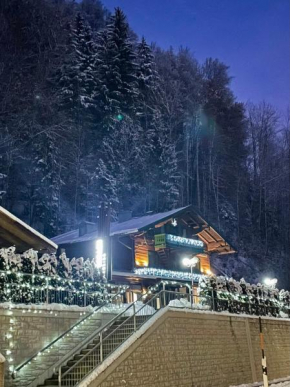 Bergbach Ramsau Bei Berchtesgaden